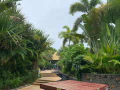 -台山颐和温泉城