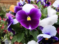 -汉长安城未央宫国家考古遗址公园