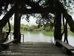 -小洲村