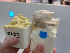-野人先生现做冰淇淋(西安赛格店)