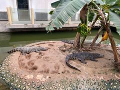 -石家庄市动物园