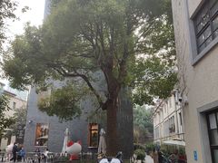 -徐家汇源景区-衡山坊