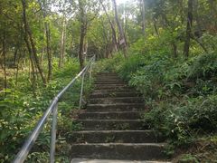 -滴水岩森林公园