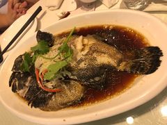 -双井轩(双井店)