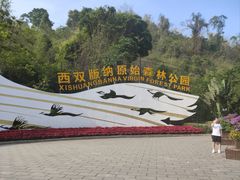 -西双版纳原始森林公园