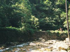 -姑婆山旅游区