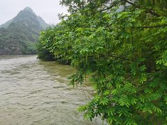 -楠溪江风景名胜区