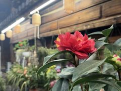 -龙姐私房菜(和顺古镇店)