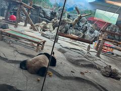 -武汉动物园