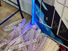 -汤姆熊欢乐世界(大连恒隆广场店)
