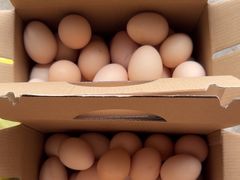 -马陆小张葡萄园农家乐