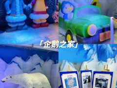 -郑州银基冰雪世界