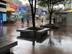 -证大大拇指广场(芳甸路店)