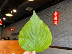 -香猪坊(五道口店)