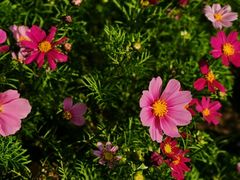 -广州市白云山风景名胜区