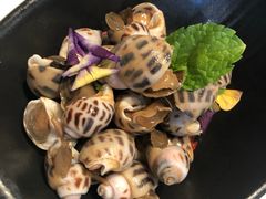 -大树餐厅(益田假日店)