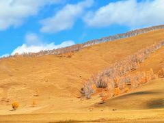 -塞罕坝国家级自然保护区
