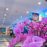 一品海鲜，蒸汽海鲜餐厅