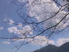 -广州市流溪河国家森林公园