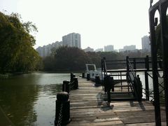 android_upload_pic-晓港公园