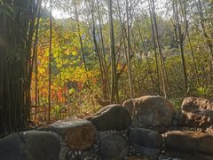 -咸宁万豪温泉谷度假区