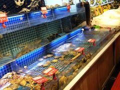 水产区-必点海鲜·鲅鱼水饺(鞍山西道店)