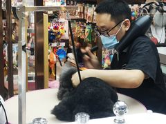 -FAELING PETS美天灵宠物(富力广场店)