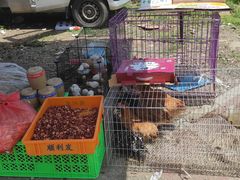 -示范集贸市场
