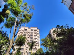 -潭村(地铁站)