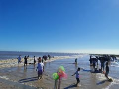 -南汇嘴观海公园