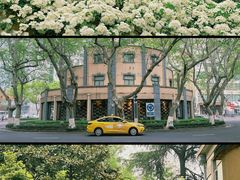 -颐和路民国时期公馆风貌区