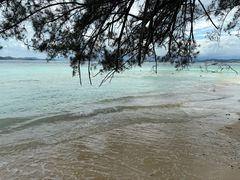 -东姑阿都拉曼海洋公园