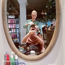 点击看大图 -金棕榈