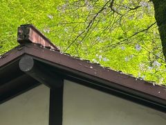 -中国茶叶博物馆(双峰馆区)