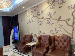 -南京医科大学友谊整形外科医院