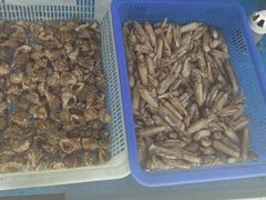 -老太太海鲜城(森林公园任家台店)