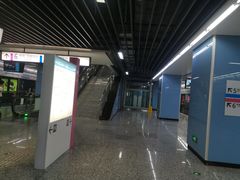 -大龙山(地铁站)