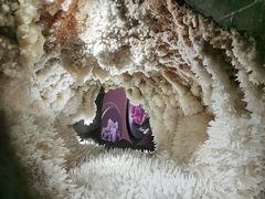 -湖南省地质博物馆