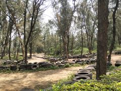 -漳州滨海火山岛自然生态风景区