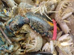 -三个渔夫·蒸汽海鲜(小白楼店)