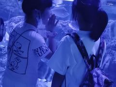 -成都浩海立方海洋公园