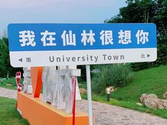 -羊山湖公园
