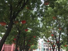 -萤初高端日料王(曲江银泰店)