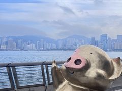 -星光大道