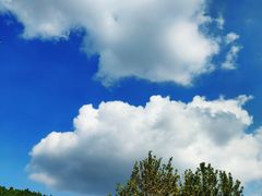 -济南国际园博园