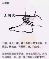 -姜美堂·蒸姜除湿の纤体美颜馆