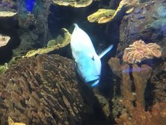 -左海海底世界