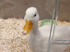 -狗道宠物(常熟印象城店)