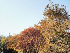 -北京西山国家森林公园