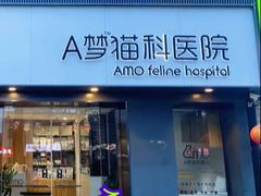 -御宝贝·A梦猫科宠物医院(国际猫友好医院)